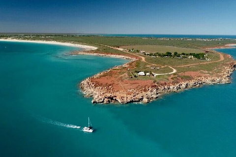 Half-Day Whale Watching Sunset Cruise From Broome - Accommodation Cairns 10