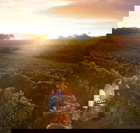 Leeuwin Estate Food and Wine Experience - Accommodation Cairns