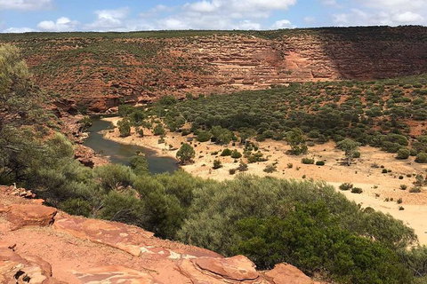 Kalbarri Gorges & West Coast - Ground & Air Tour - Accommodation Cairns 7