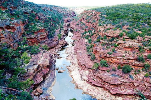 Kalbarri Gorges & West Coast - Ground & Air Tour - Accommodation Cairns 5