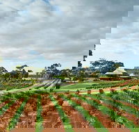 Vasse Felix Winery Tour and Tasting - Accommodation Cairns