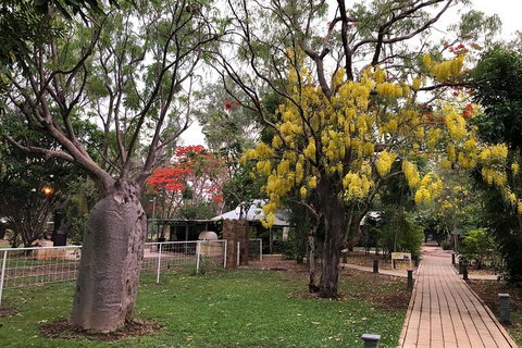 Mitchell Falls Tour - Mt Hart, Mitchell Falls, Horizontal Falls & Cape Leveque - Accommodation Cairns 13