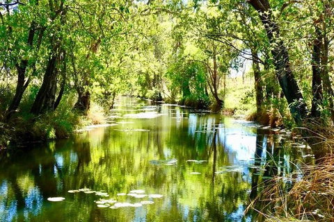 Mitchell Falls Tour - Mt Hart, Mitchell Falls, Horizontal Falls & Cape Leveque - Accommodation Cairns 9