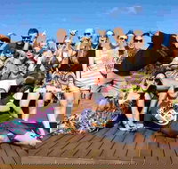 Margies Big Day Out Beer  Wine Tours - Accommodation Cairns