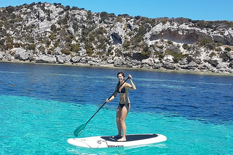 Rottnest Island Sailing Charter - Accommodation Cairns 1