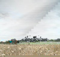 Electric Bike Winery and Brewery Tour - Accommodation Cairns