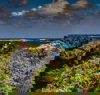 Guided Walks on the Cape to Cape - Wilyabrup Cliffs - Accommodation Cairns