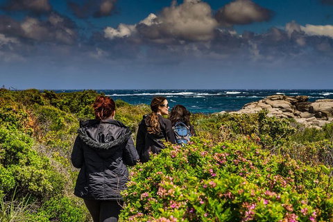 Guided Walks On The Cape To Cape - Wilyabrup Cliffs - Accommodation Cairns 0