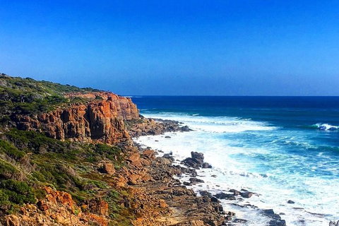 Guided Walks On The Cape To Cape - Wilyabrup Cliffs - Accommodation Cairns 2