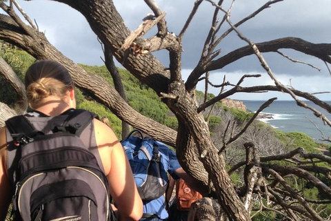 Guided Walks On The Cape To Cape - Wilyabrup Cliffs - Accommodation Cairns 6