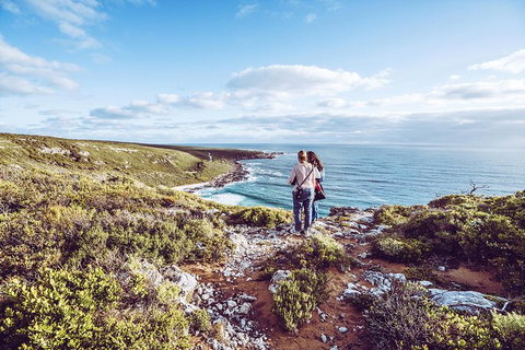 Guided Walks On The Cape To Cape - Wilyabrup Cliffs - Accommodation Cairns 7