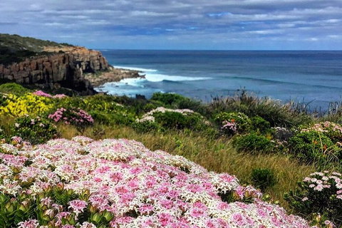 Guided Walks On The Cape To Cape - Wilyabrup Cliffs - Accommodation Cairns 3