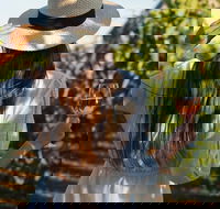 7 Hour Full Day Tour Morning Tea Chocolate Olives 3 Wineries  Lunch - Accommodation Cairns