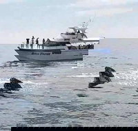 Busselton Whale Watching Eco Tour - Accommodation Cairns