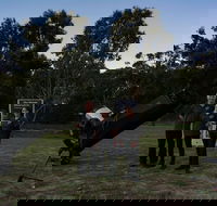 Dusk to Dawn Astronomy Margaret River - Accommodation Cairns