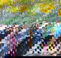 Half Day Gourmet Wine Tour - Accommodation Cairns