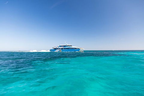Rottnest Island Bayseeker Day Trip From Perth With Transfer - Accommodation Cairns 1