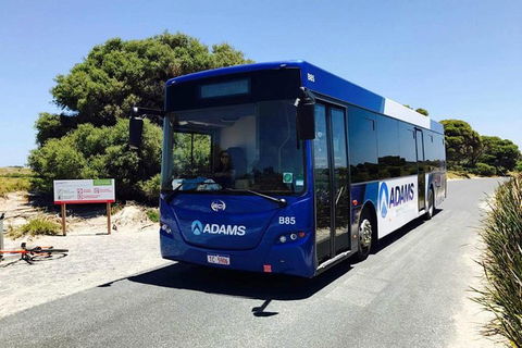 Rottnest Island Bayseeker Day Trip From Perth With Transfer - Accommodation Cairns 0
