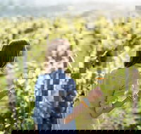 5 Hours Wineries Coffee Tasting Forest  Lunch at the Berry Farm - Accommodation Cairns