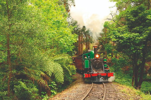 Half Day Puffing Billy Train Journey From Melbourne - Accommodation Cairns 2