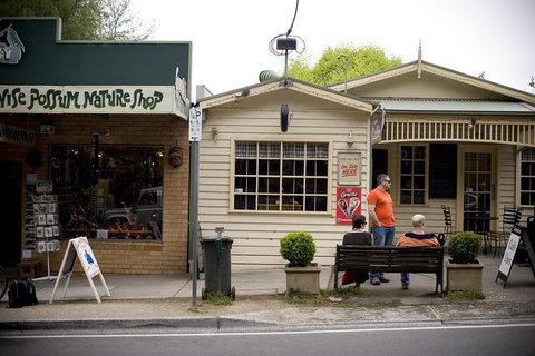 Half Day Puffing Billy Train Journey From Melbourne - Accommodation Cairns 10