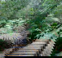 Small-group DayTour from Hobart Hastings Caves Huon Valley and Tahune AirWalk - Accommodation Cairns