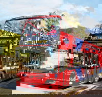 Hobart Hop-on Hop-off Bus Tour - Accommodation Cairns