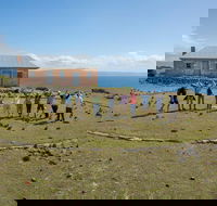 Maria Island Active Day Trip from Hobart - Accommodation Cairns