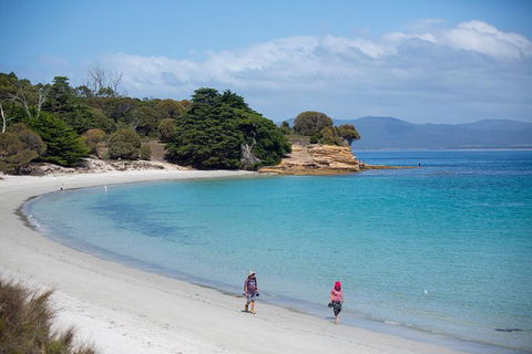 Maria Island Active Day Trip From Hobart - Accommodation Cairns 2