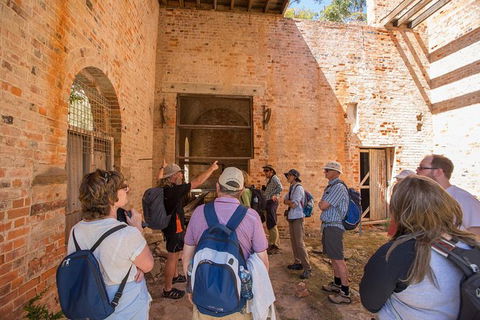 Maria Island Active Day Trip From Hobart - Accommodation Cairns 9