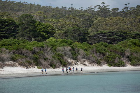 Maria Island Active Day Trip From Hobart - Accommodation Cairns 11