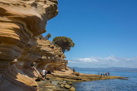 Maria Island Active Day Trip From Hobart - Accommodation Cairns 5