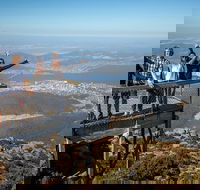 Mt Field National Park Active Day-Trip Including Bonorong and Mt Wellington - Accommodation Cairns