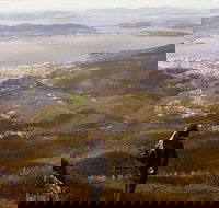 Mt Wellington Half Day Guided Summit Hike - Accommodation Cairns