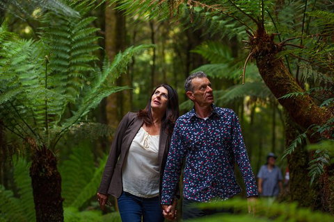 West Coast Wilderness Railway: River And Rainforest From Strahan - Accommodation Cairns 1