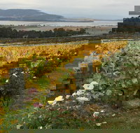 Mona and Wine Experience Tour - Accommodation Cairns