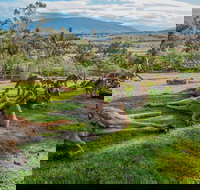 Shore Excursion Hobart's Best In Half A Day - Accommodation Cairns