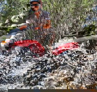 Quad Bike 2-Hour Adventure Freycinet National Park - Accommodation Cairns