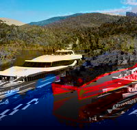 Morning World Heritage Cruise on the Gordon River departing Strahan 9am - Accommodation Cairns