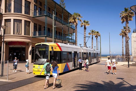 McLaren Vale And Glenelg Wine Tasting And Sightseeing (Half-day Afternoon) - Accommodation Cairns 5