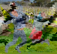 Mclaren Vale Luxury Full Day Small Group Wine Tour - Accommodation Cairns