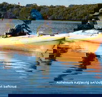 Adelaide Dolphin Sanctuary and Ships Graveyard Kayak Tour - Accommodation Cairns