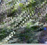 Self-Guided Waterfall Gully to Mount Lofty Hike from Adelaide - Accommodation Cairns