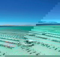 Coffin Bay Private Day Tour from Port Lincoln - A Taste of Coffin Bay - Accommodation Cairns