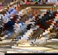 Adelaide Zoo Behind the Scenes Experience Penguins in Person - Accommodation Cairns