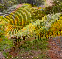 Private Adelaide Hills Wine Region Tour - Accommodation Cairns