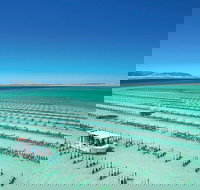 Coffin Bay Day Tour - A Taste of Coffin Bay - Accommodation Cairns