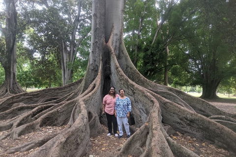 A Taste Of Adelaide And Hahndorf By Car Private Tour. - Accommodation Cairns 11