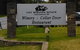 Barossa Valley Wine Tour (5 Hours) - thumb 4