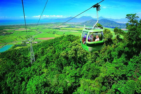 5-Day Best Of Cairns With Daintree, Kuranda, And Great Barrier Reef - Accommodation Cairns 5